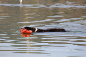 Enlarge photo 18