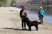 Enlarge photo 15