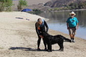 Enlarge photo 16