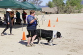 Ozzie WRD Shannon Gasowski