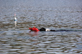 Enlarge photo 16