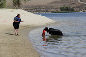 Enlarge photo 22