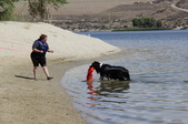 Enlarge photo 23