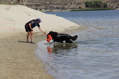 Enlarge photo 23