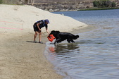 Enlarge photo 24