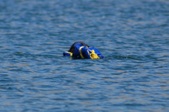 Enlarge photo 21