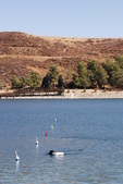 Enlarge photo 17