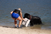 Enlarge photo 22