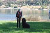 Enlarge photo 10
