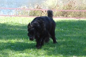 Enlarge photo 12