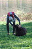 Enlarge photo 18