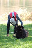 Enlarge photo 19