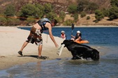 Enlarge photo 24