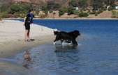 Enlarge photo 4