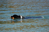 Enlarge photo 16