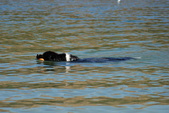 Enlarge photo 18