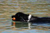 Enlarge photo 19