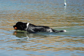 Enlarge photo 20