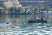 Enlarge photo 16