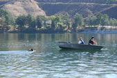 Enlarge photo 17