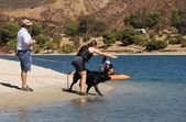 Enlarge photo 23