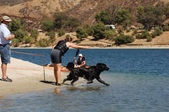 Enlarge photo 24