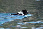 Enlarge photo 15