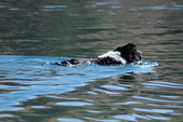 Enlarge photo 17