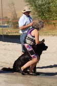 Enlarge photo 4