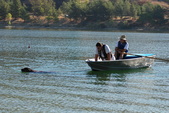 Enlarge photo 21