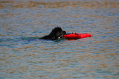 Enlarge photo 18