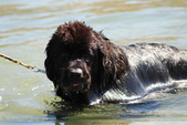 Enlarge photo 20