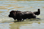 Enlarge photo 21
