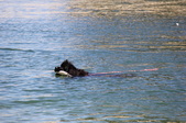 Amy 9-22-13