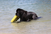 Enlarge photo 19