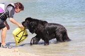 Enlarge photo 20
