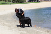 Enlarge photo 21