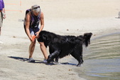 Enlarge photo 19