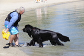 Enlarge photo 21