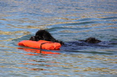 Enlarge photo 21