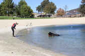 Enlarge photo 16