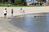 Enlarge photo 17