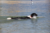 Enlarge photo 17