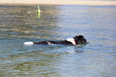 Enlarge photo 18