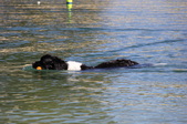 Enlarge photo 22