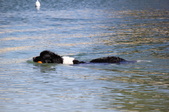 Enlarge photo 23