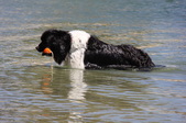 Enlarge photo 24