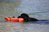 Enlarge photo 20