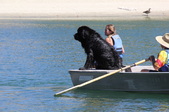 Enlarge photo 23