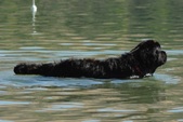 Enlarge photo 3